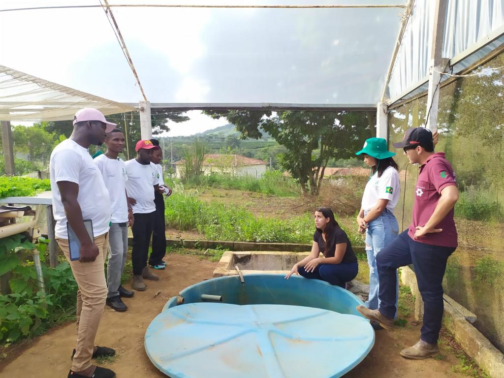 Horta Comunitaria_09.jpeg