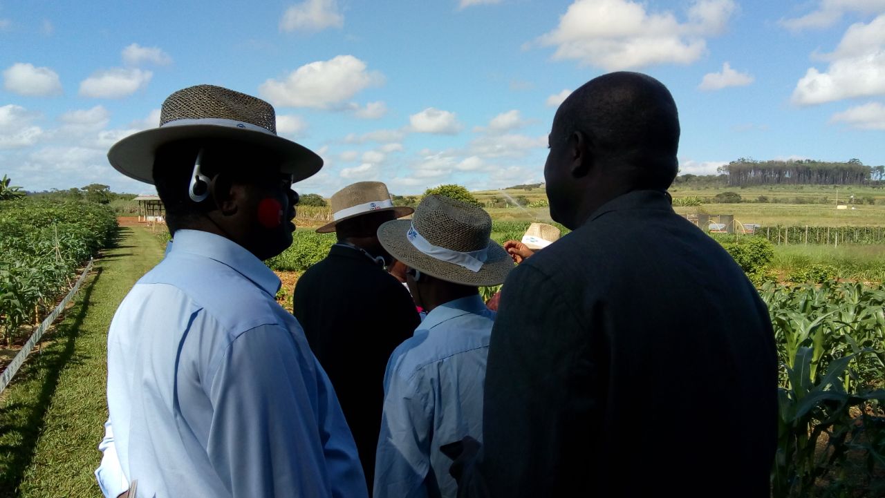 Não estamos mais desesperados 1.JPEG