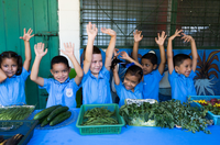 Novo estudo sobre alimentação escolar na América Latina e no Caribe