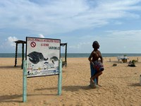 Novo projeto de cooperação com o Benim apoiará a proteção de tartarugas e animais marinhos