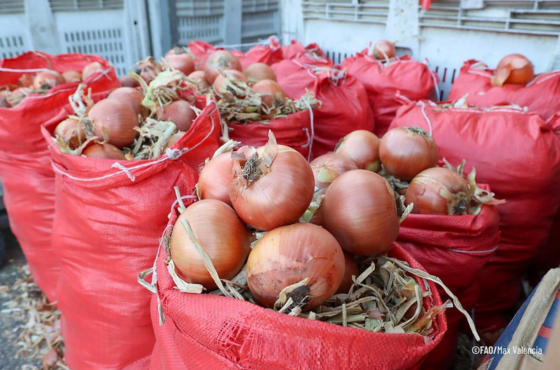Países se reúnem na Colômbia para discutir soluções contra a inflação dos alimentos