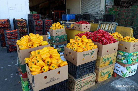 Países se reúnem na Colômbia para discutir soluções contra a inflação dos alimentos