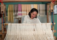 Papéis, desafios e oportunidades para as mulheres artesãs algodoeiras é o tema de webinário regional
