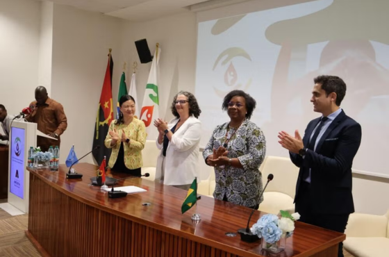 Parceria com o Brasil fortalece combate à mortalidade materna em Angola