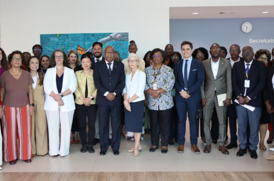 Governo de Angola assina projeto com a Agência Brasileira de Cooperação, Fiocruz e UNFPA para o fortalecimento da saúde materna, infantil e neonatal em Angola