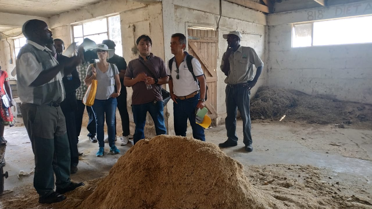 Pecuária do Zimbábue avança com projeto de cooperação técnica com o Brasil 4.JPEG