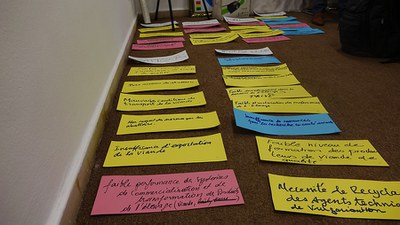 Pecuária será tema de novo projeto de cooperação técnica no Mali 4.JPEG
