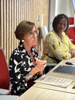 Planejamento de programa para promoção da igualdade de gênero, por meio da Cooperação Sul-Sul, reúne sete ministérios e agências das Nações Unidas