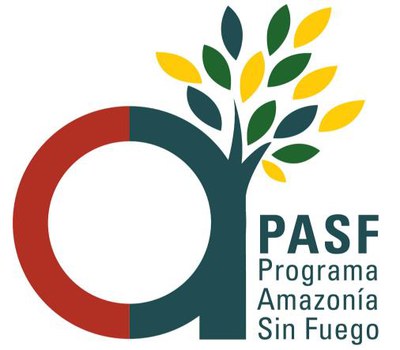 eduz em 94% os incêndios florestais na Bolívia 1.JPEG