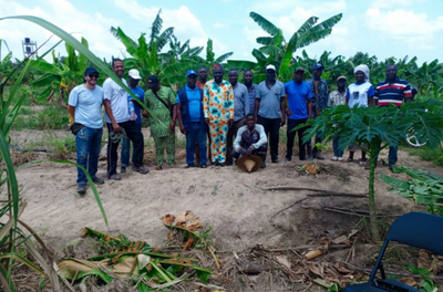 Projeto amplia nutrição escolar e fortalece agricultores no Benim