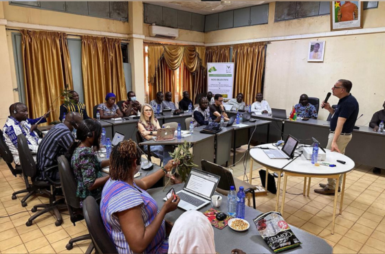 Projeto com apoio do Brasil promove manejo sustentável da manga em Burkina Faso