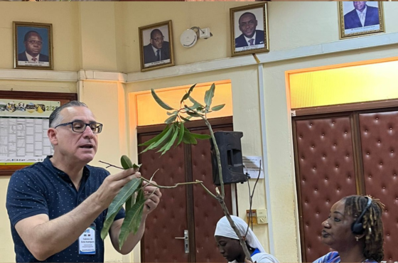Projeto com apoio do Brasil promove manejo sustentável da manga em Burkina Faso