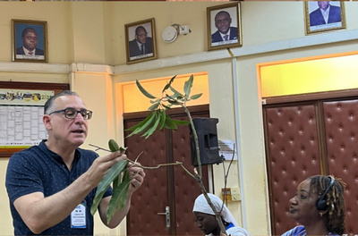 Projeto com apoio do Brasil promove manejo sustentável da manga em Burkina Faso