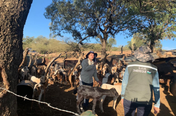 Projeto COTRIAbE encerra suas atividades com legado em resiliência climática 1.png