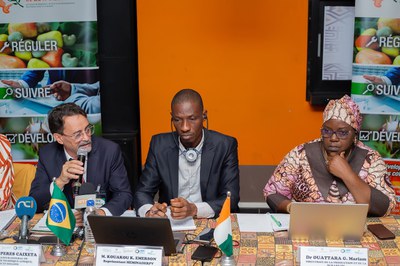 Projeto de algodão em Côte d’Ivoire define novas etapas 