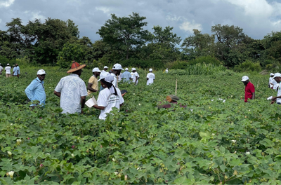 ABC e Amipa visitaram as UTDs para acompanhar os resultados da implementação do projeto