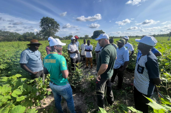 ABC e Amipa visitaram as UTDs para acompanhar os resultados da implementação do projeto