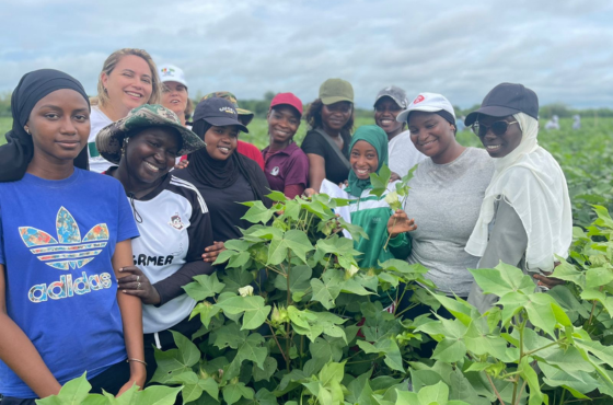 ABC e Amipa visitaram as UTDs para acompanhar os resultados da implementação do projeto