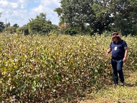 Projeto de algodão no Zimbábue promove missão de monitoramento