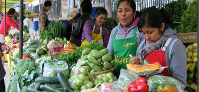 Projeto de Apoio a Segurança Alimentar e Nutricional na América Latina e Caribe é concluído 1.JPEG