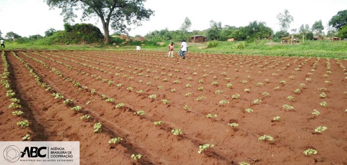 Projeto de cooperação em Moçambique e Malaui contribui para o desenvolvimento local 1.JPEG