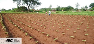 Projeto de cooperação em Moçambique e Malaui contribui para o desenvolvimento local 1.JPEG