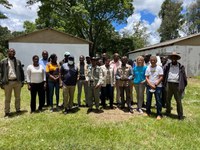 Projeto fortalece a pecuária de corte no Zimbábue