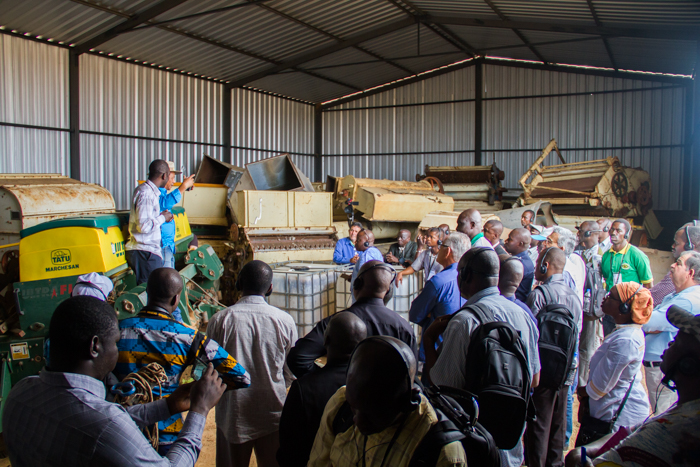 Projeto regional para o aperfeiçoamento de técnicos africanos em cotonicultura 2.jpeg