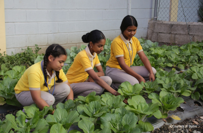 Publicação apresenta avanços de 15 anos de cooperação em alimentação escolar na AL