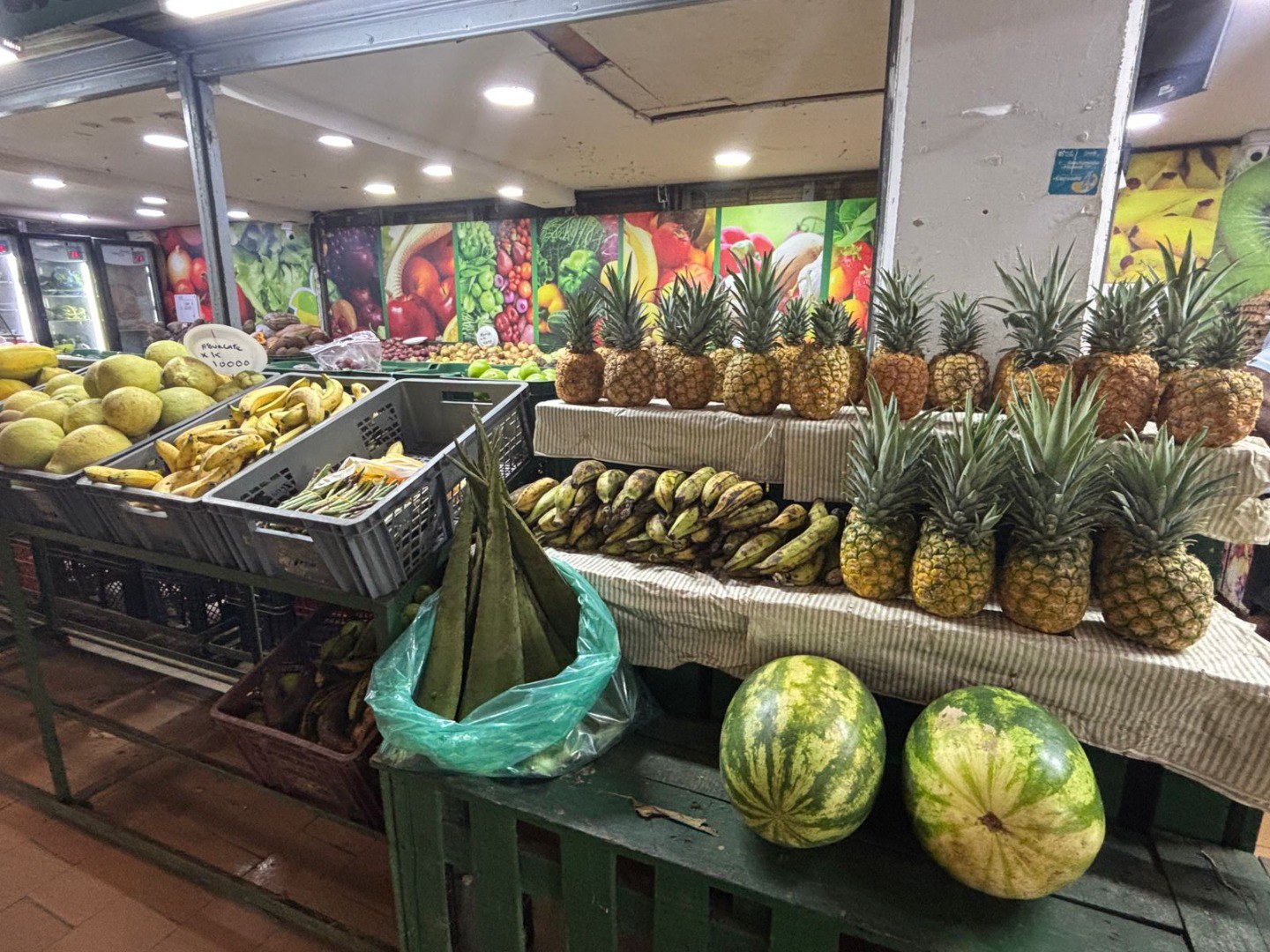 WhatsApp Image 2025-08-15 at 13.32.28.jpeg