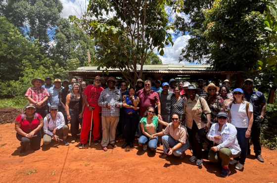 Representantes da Guatemala vêm ao Brasil para intercâmbio em governança da terra 1.png