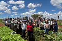 Representantes da Guatemala vêm ao Brasil para intercâmbio em governança da terra