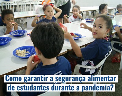 Reunião remota discute soluções para garantir segurança alimentar de estudantes sul-americanos 1.JPEG
