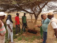 Senegaleses vêm ao Brasil para reunião do comitê gestor do Projeto PAIS-Natangué