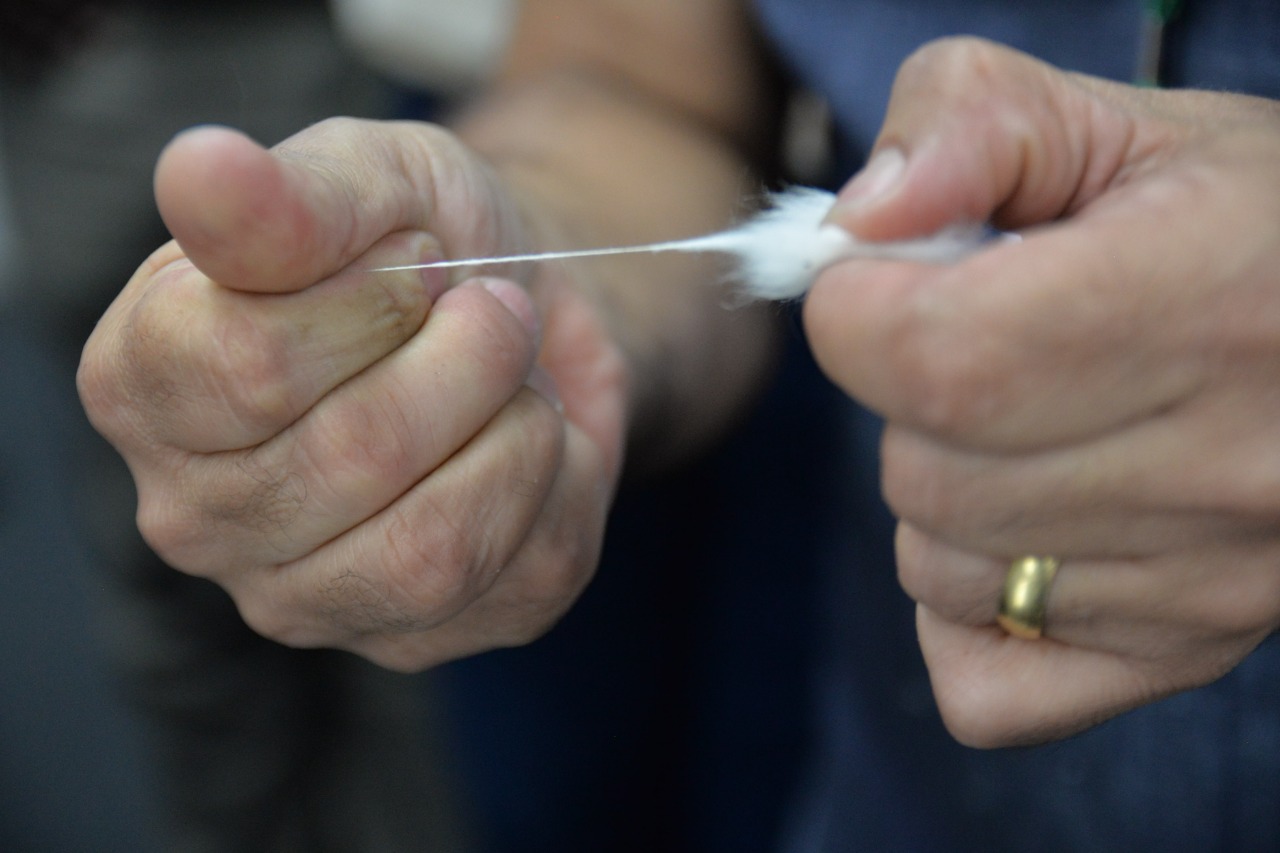 Técnicos africanos conhecem laboratórios da AMIPA 12.JPEG