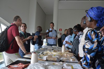 Técnicos africanos conhecem laboratórios da AMIPA 4.JPEG