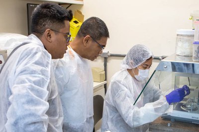 Myanmar_liofilização_interna (1).jpg