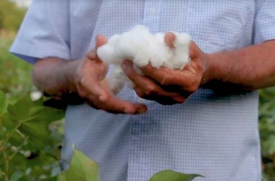 Programa Caminhos da Reportagem 