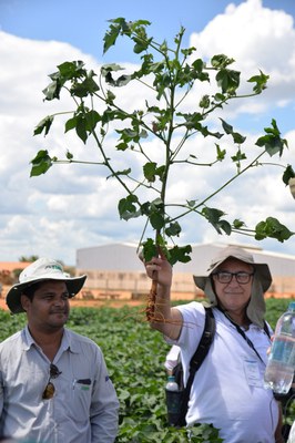 Visitantes africanos conhecem fazenda de algodão em Minas Gerais 4.jpeg