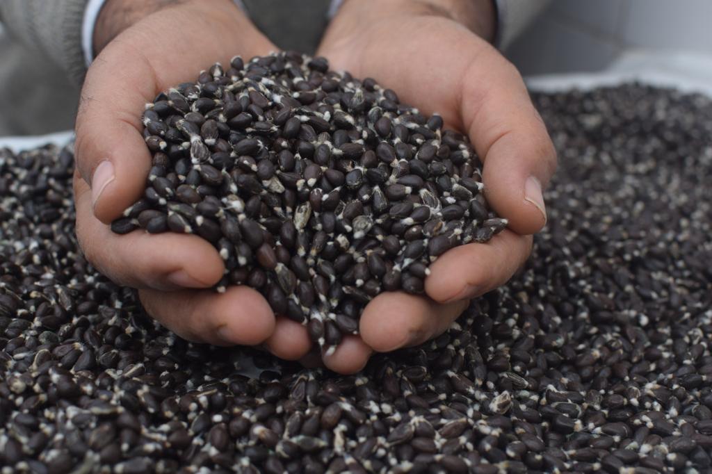 WhatsApp Image 2023-06-01 at 11.44.07.jpeg