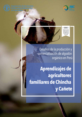 Desafios de la produccion y comercializacion de algodon organico en Peru.png