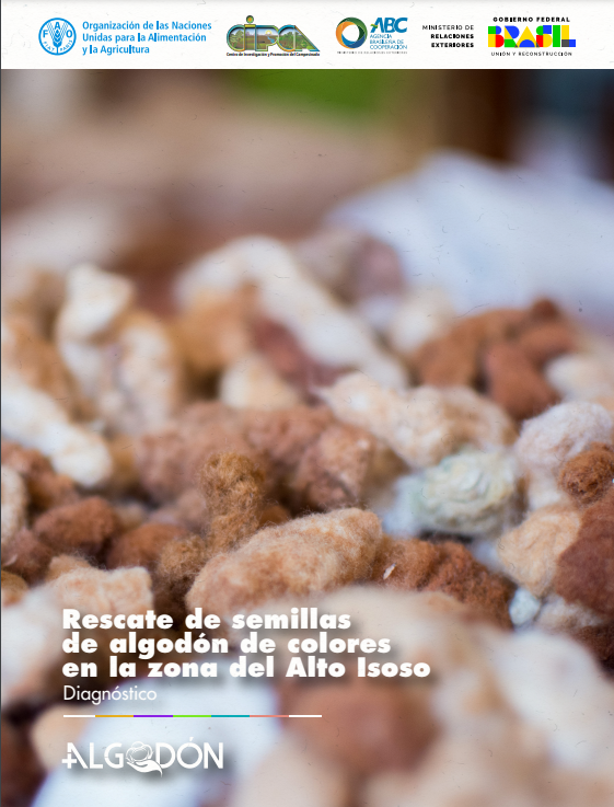 Rescate de semillas de algodón de colores en la zona del alto Isoso