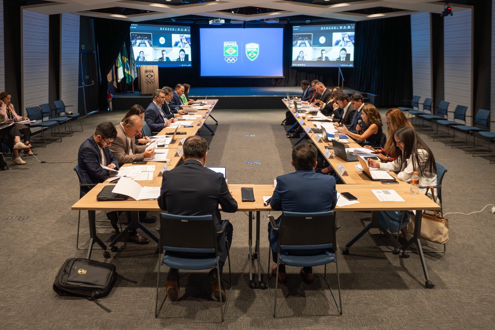 Institucional