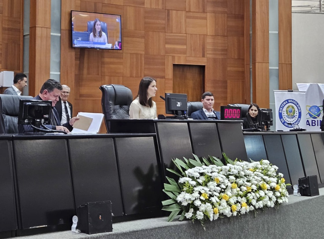 Diretora de Inteligência Externa da ABIN, Ana Martins Ribeiro, foi uma das mediadoras do debate