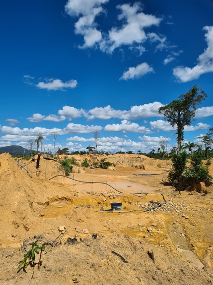 Degradação ambiental na TI Kayapó