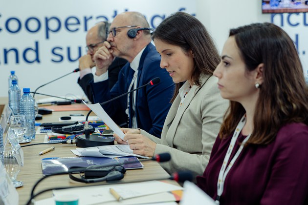 Diretora do Departamento de Inteligência Externa da ABIN e diretor-geral lideram a reunião do BRICS sobre Contraterrorismo (Foto: Rafael Medelima - Brics Brasil)