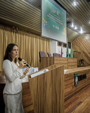 Ana Ribeiro, diretora do Departamento de Inteligência Externa da ABIN