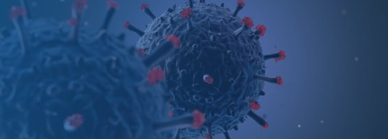 Documentos de Inteligência produzidos durante a pandemia de Covid 19 são disponibilizados pela ABIN