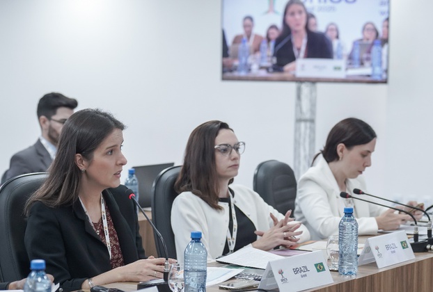 Diretora do Departamento de Inteligência Externa da ABIN e chefe da delegação brasileira do GT de Contraterrorismo, Ana Ribeiro (Foto: Rafa Neddermeyer - BRICS/Secom/PR)