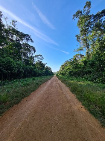 Pista de pouso clandestina em região de garimpo